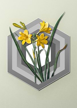 Daylily On Paper Shield