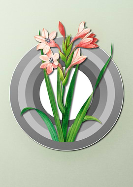 Gladiolus on Pastel Paper