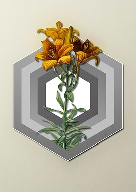 Lily on Geometric Pastel