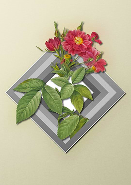 Red Rose On Spring Pastel