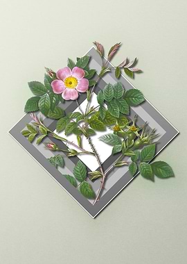 Spring Floral on Geometric