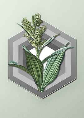 Flower on Geometric Pastel