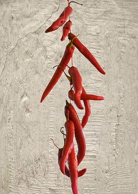 chili pepper for food