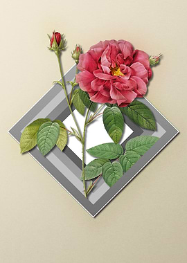 Rose Floral on Geometric