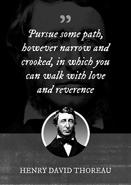 Pursue some path however