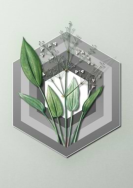 Plantain Geometric Pastel