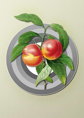 Spring Pastel Peach Fruit