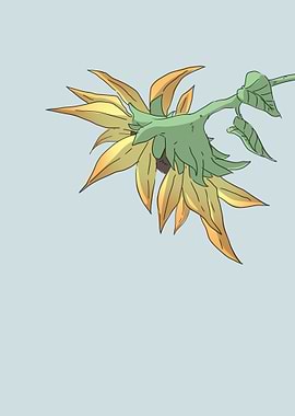 minimalist sunflower