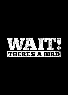 Birds Birdwatcher Birdwatc