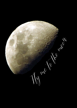 Fly me to the moon