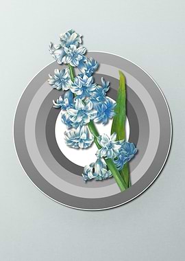 Spring Pastel Hyacinth