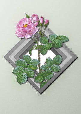 Pink Rose On Spring Pastel