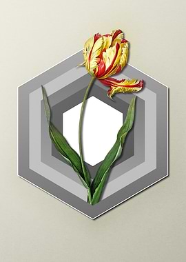 Tulip On Paper Shield