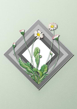 Daisy On Spring Pastel