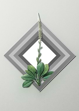 Light Pastel Blazing Star