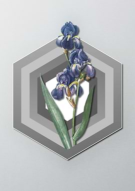 Blue Iris On Paper Shield