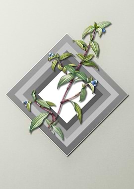 Light Pastel Dayflower