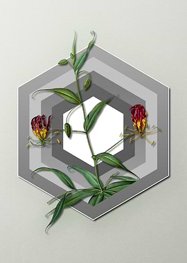 Lily on Geometric Pastel