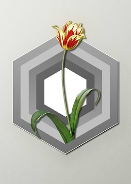 Tulip On Paper Shield