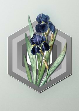 Pastel Floral Blue Iris