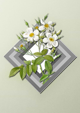 Rose Floral on Geometric