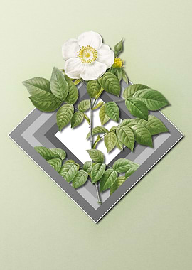 Spring Floral on Geometric