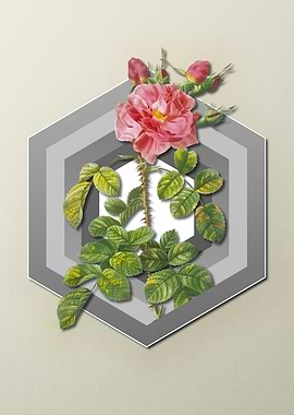 Pastel Floral Red Rose