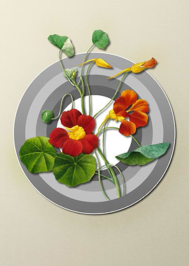 Geometric Red Monks Cress