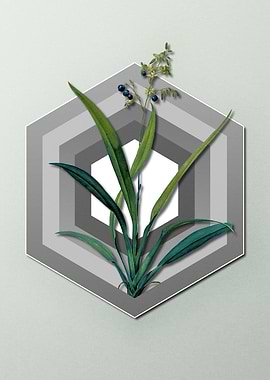 Pastel Floral Flax Lilies