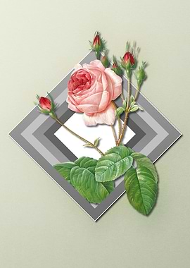 Pink Rose On Spring Pastel