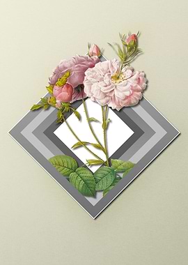 Pink Rose On Spring Pastel