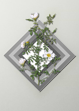 Spring Floral on Geometric