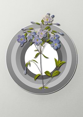 Spring Pastel Blue Phlox