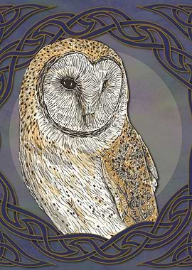 Celtic Barn Owl