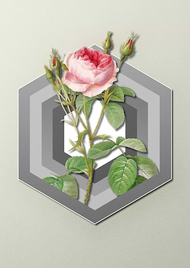 Moss Rose On Paper Shield