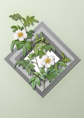 Spring Floral on Geometric