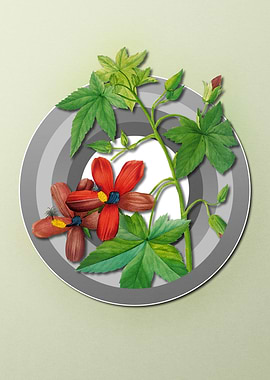 Geometric Spring Floral