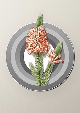 Briar Root on Pastel Paper