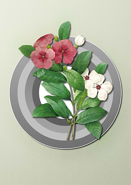 Spring Pastel Periwinkle