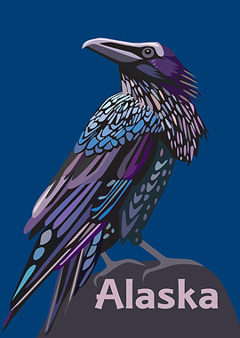Alaska Raven Colorful Bird