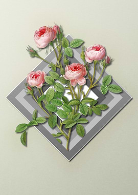 Pink Rose On Spring Pastel