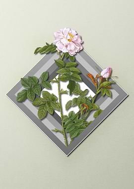 Floral Geometric Pink Rose