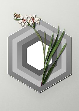 Gladiolus on Paper Shapes