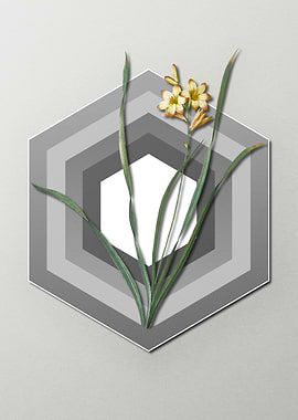 Gladiolus on Paper Shapes