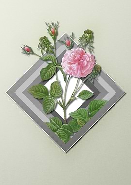 Floral Geometric Pink Rose