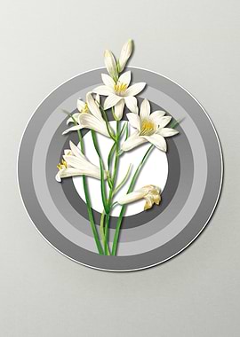 Geometric Flora Lily