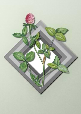 Floral Geometric on Pastel