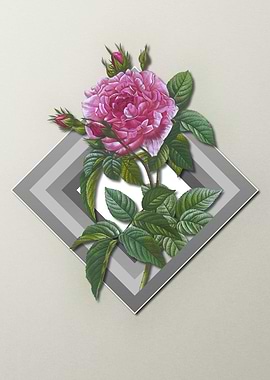 Floral Geometric Red Roses