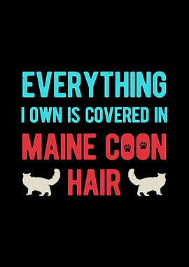 Maine Coon Cat Funny