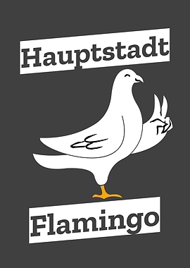 Pigeon doves capital